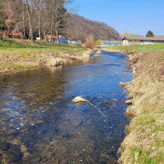 Revierbild: Große Krems inkl. Weißfischzone