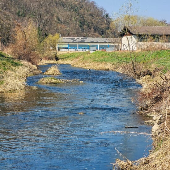 Revierbild: Große Krems inkl. Weißfischzone