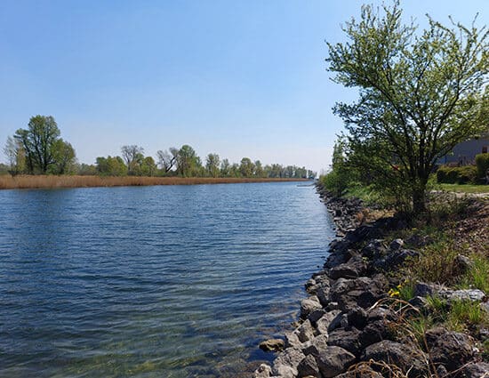 Revierbild: Kuchelauer Hafen