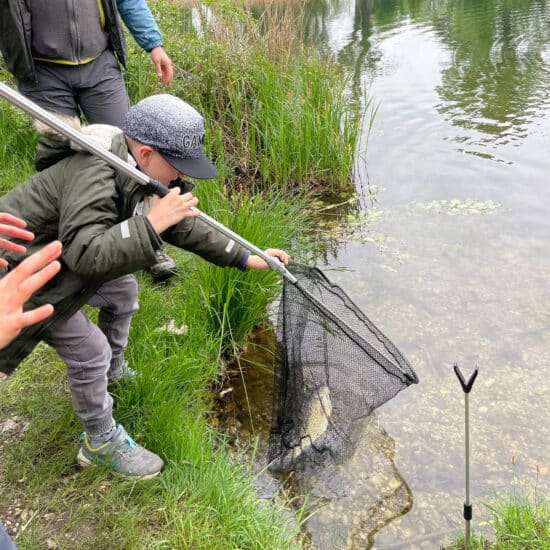 Rückblick: Schnupperfischen Jugendreferat VÖAFV – Mühlwasser Aspern 2022