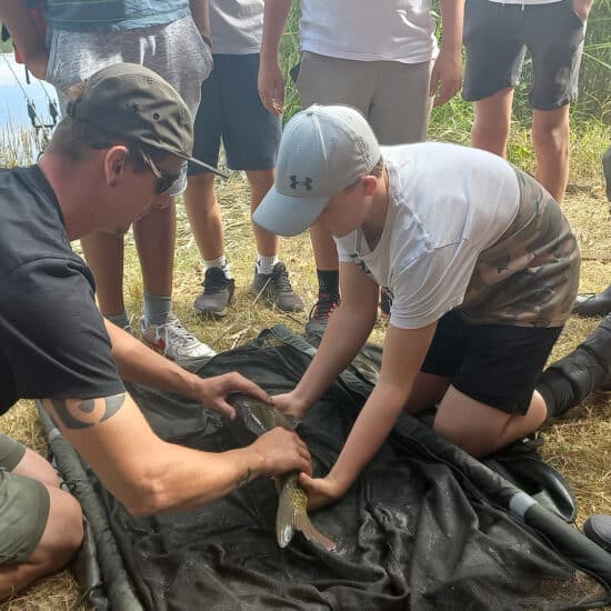 Rückblick: Abenteuerfischercamp inkl. Fischerprüfung am Wienerwaldsee 2022