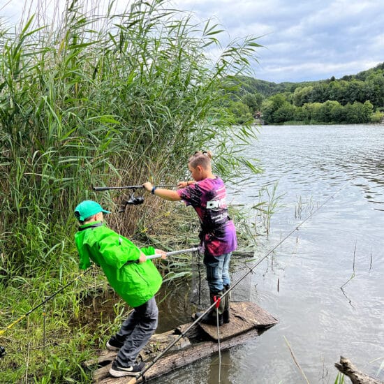 Rückblick: Abenteuerfischercamp inkl. Fischerprüfung am Wienerwaldsee 2022