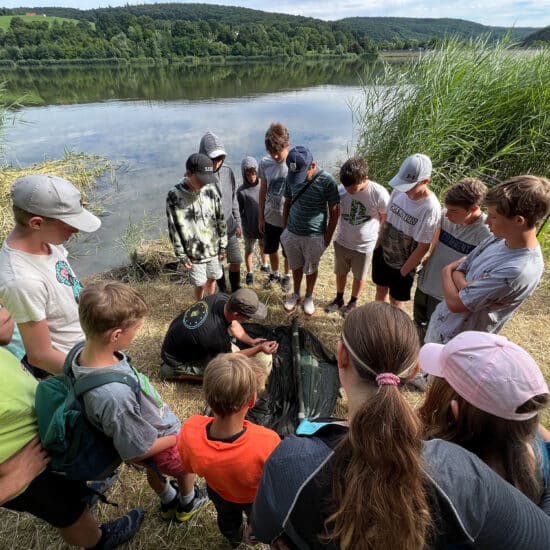 Rückblick: Abenteuerfischercamp inkl. Fischerprüfung am Wienerwaldsee 2022