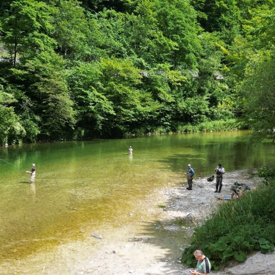 Rückblick: Fliegenfischertag Jugendreferat VÖAFV – Waidhofen/Ybbs 2023