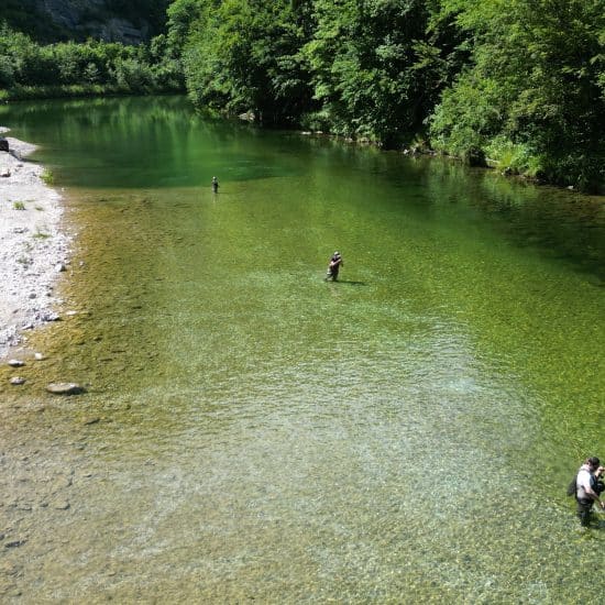 Rückblick: Fliegenfischertag Jugendreferat VÖAFV – Waidhofen/Ybbs 2023