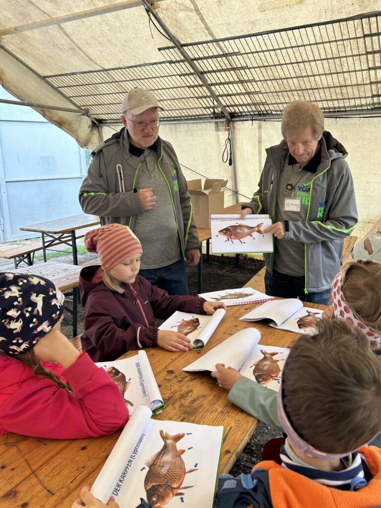 Schnupperfischen Jugendreferat VÖAFV – Badner Teich 2024