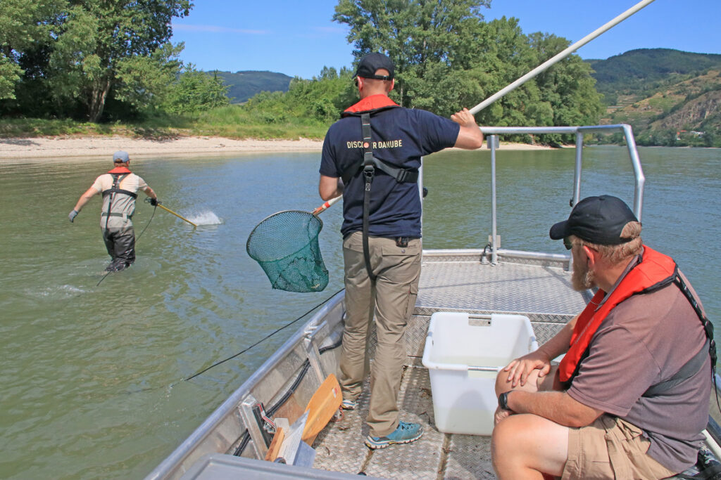Foto: www.hauer-naturfoto.at