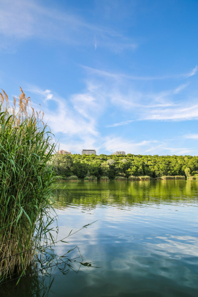 VÖAFV Revier Wienerberg Foto: Norbert Novak
