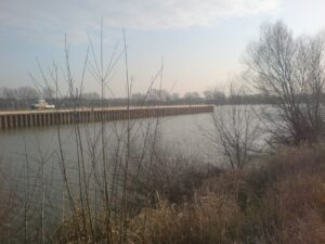 VÖAFV Revier Albern Wien/NÖ-Kombination