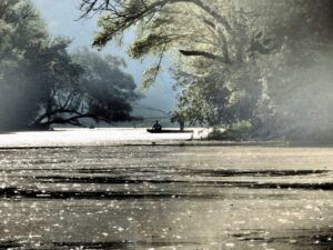 VÖAFV Revier Donau Haslau und Haslauer Arm