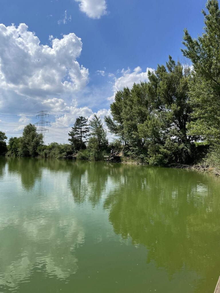 VÖAFV Revier Drei-Birken-Teich