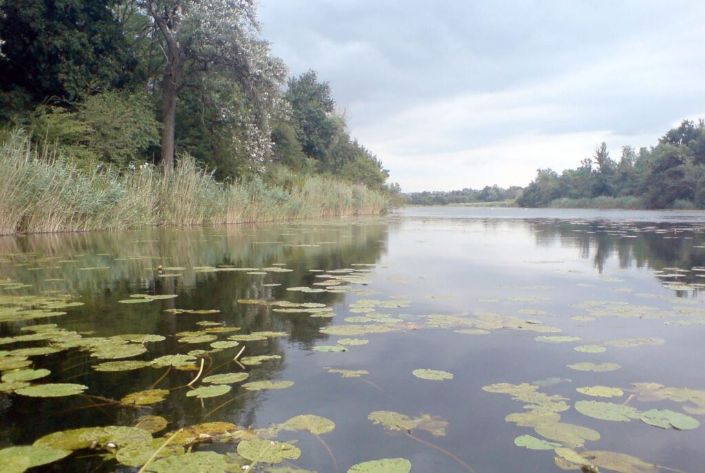 VÖAFV Revier Eberschüttwasser