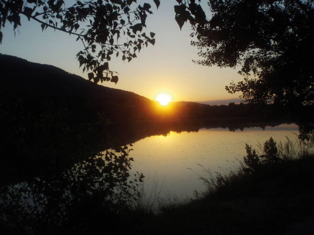 VÖAFV Revier Floridsdorf – Donaustadt II Kombination