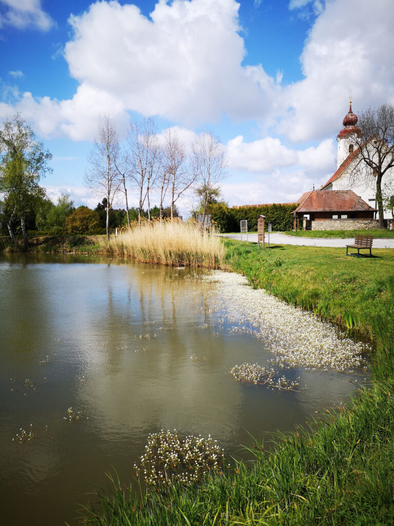 VÖAFV Revier Franzener Teich