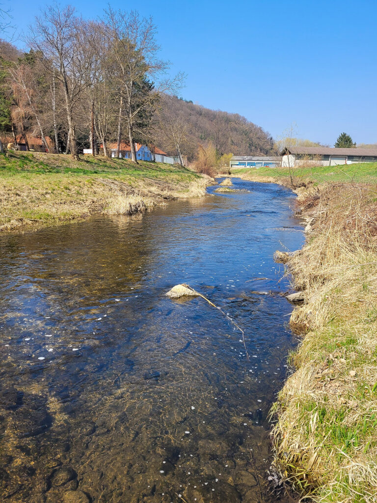 VÖAFV Revier Große Krems inkl. Weißfischzone