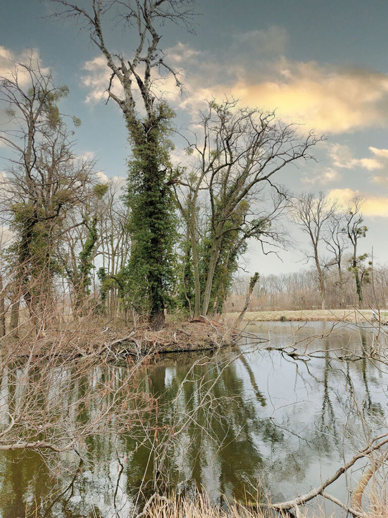 VÖAFV Revier Harrach Park