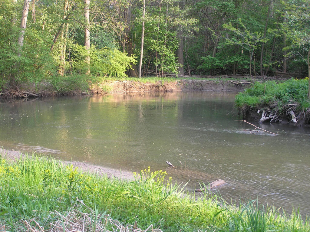 VÖAFV Revier Leitha 7