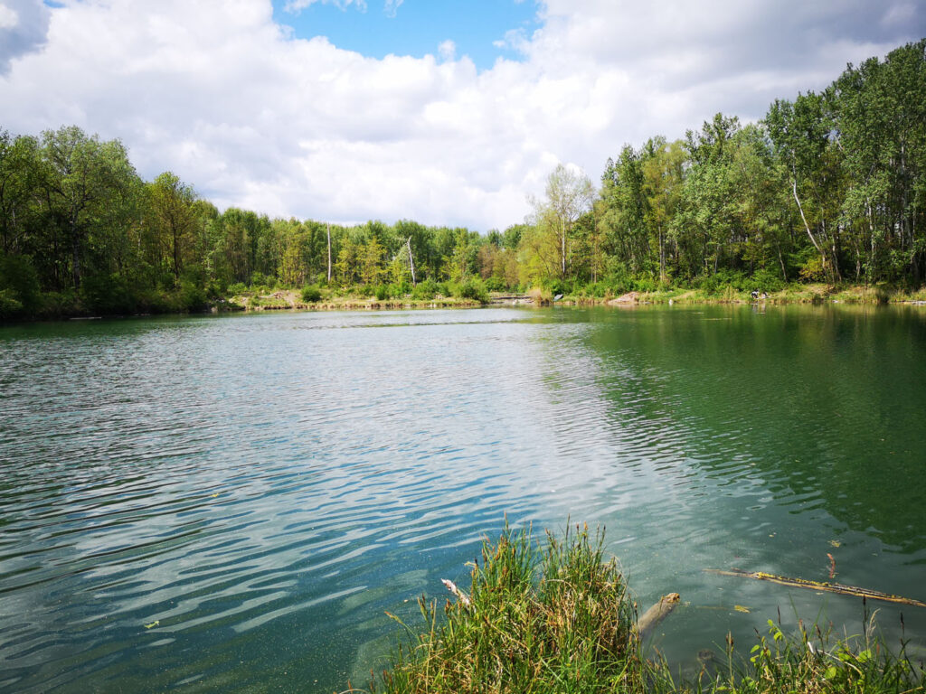 VÖAFV Revier Linke Donau Theiß