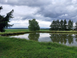 VÖAFV Revier Maroni Teich