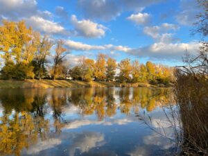 VÖAFV Revier Mühlwasser Aspern