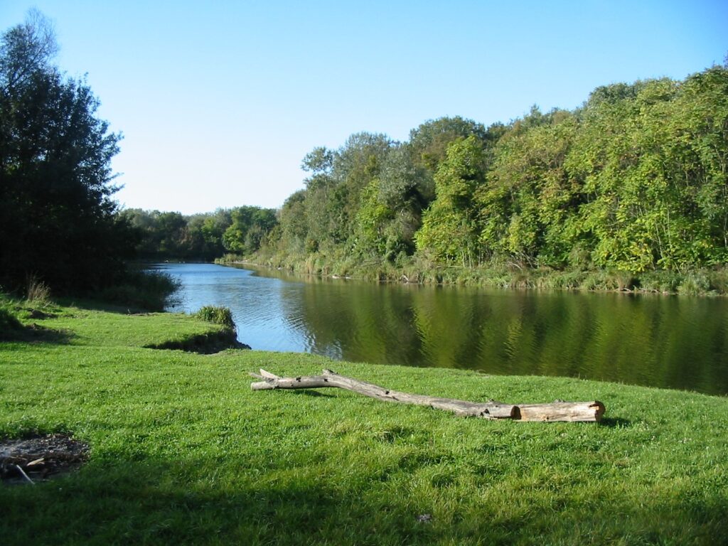 VÖAFV Revier Mühlwasser Lobau