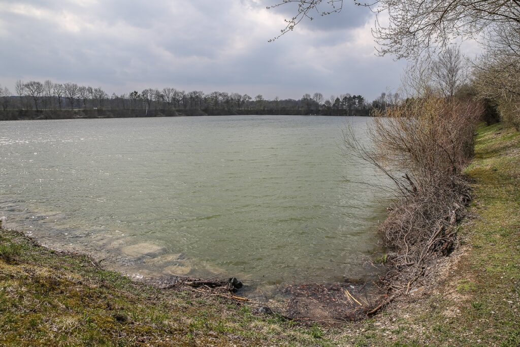 VÖAFV Revier Neumarkter See I