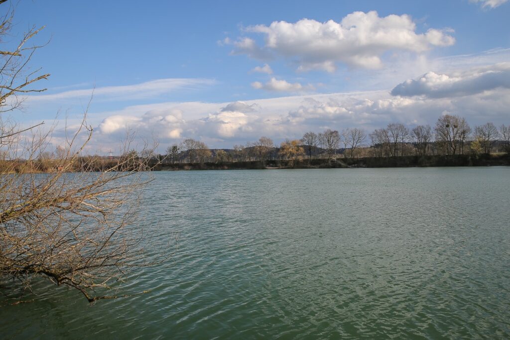 VÖAFV Revier Neumarkter See II