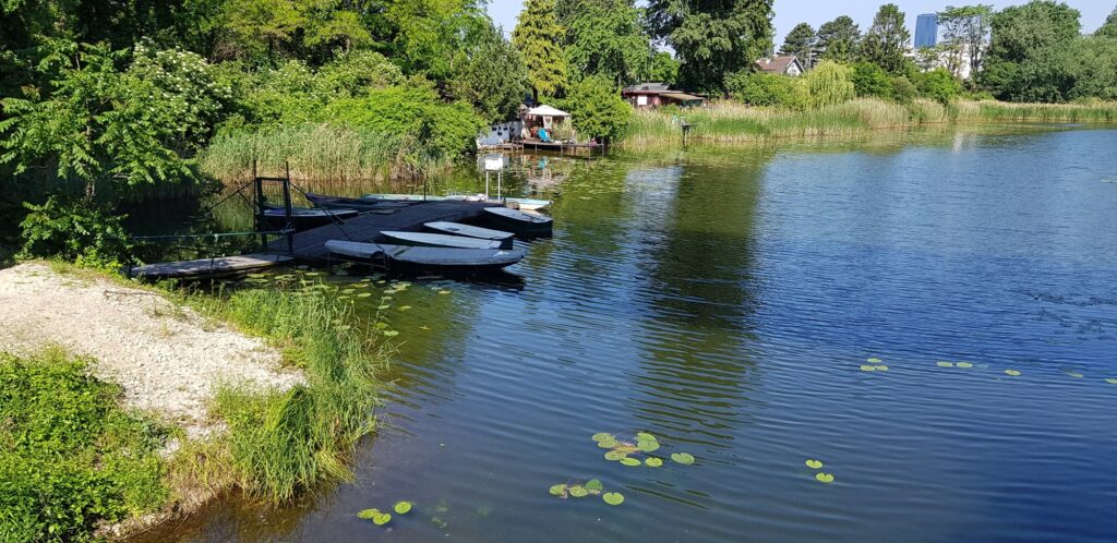 VÖAFV Revier Oberes Mühlwasser Stadlau