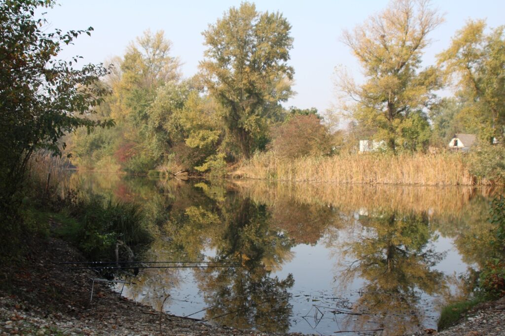VÖAFV Revier Schillerwasser