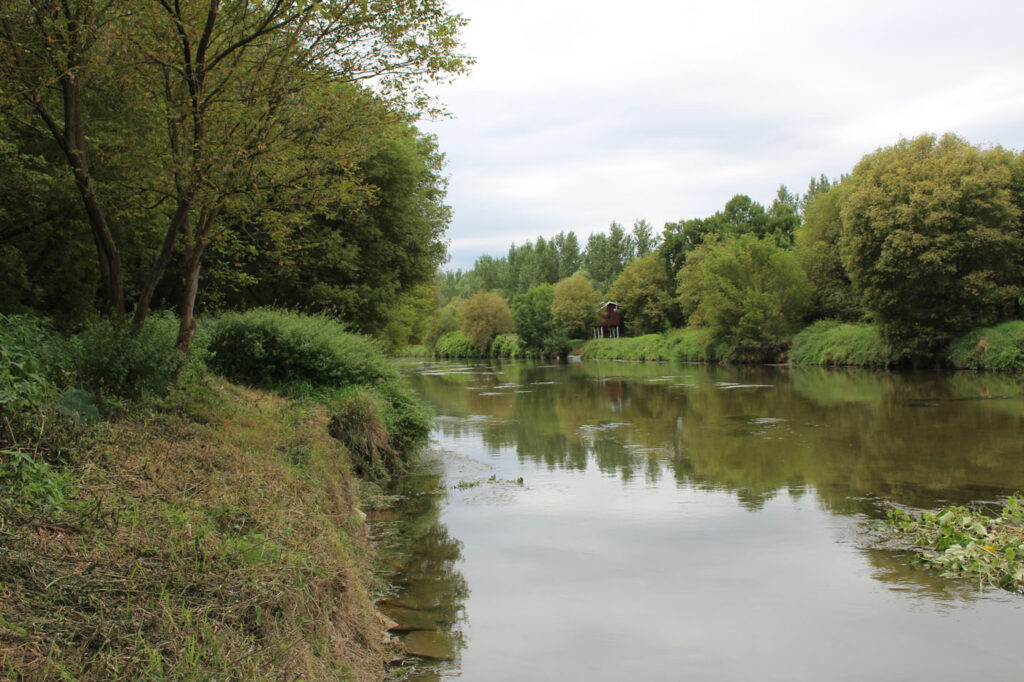 VÖAFV Revier Schwechatbach