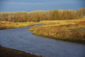 VÖAFV Revier Untere Fischa