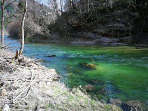 VÖAFV Revier Ybbs B II/6 – Waidhofen